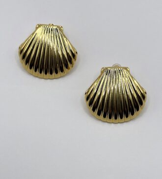 Shell Earrings