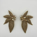 IMG_2025-09-10-221755